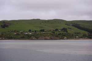 HARINGTON-POINT-DUNEDIN (4)